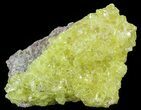 Sulfur Crystals on Matrix - Bolivia #51589-1